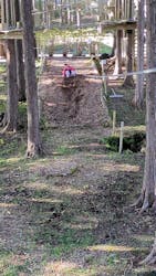 フォレストアドベンチャー・御殿場に投稿された画像（2025/11/3）