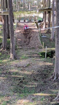 フォレストアドベンチャー・御殿場に投稿された画像（2025/11/3）