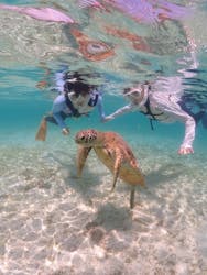 ちゃこたびに投稿された画像（2025/11/3）