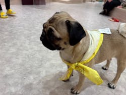 いぬカフェRio 富士見店に投稿された画像（2025/11/3）