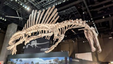 福井県立恐竜博物館に投稿された画像（2025/11/3）