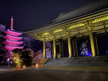 博多ライトアップウォーク実行委員会に投稿された画像（2025/11/3）