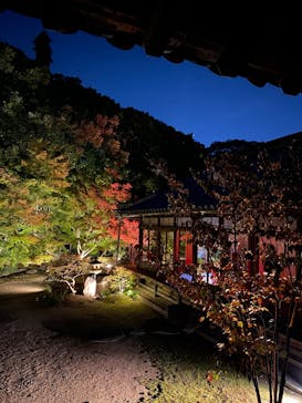 博多ライトアップウォーク実行委員会に投稿された画像（2025/11/3）