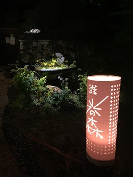 博多ライトアップウォーク実行委員会に投稿された画像（2025/11/3）