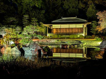 NAKED meets 二条城 2025 観月に投稿された画像（2025/11/3）