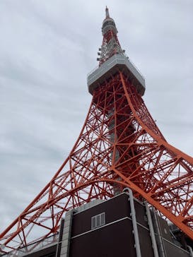 東京タワーに投稿された画像（2025/11/3）