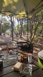 稲毛海浜公園（SUNSET BEACH PARK INAGE）に投稿された画像（2025/11/3）