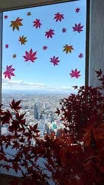 サンシャイン60展望台に投稿された画像（2025/11/3）