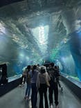 サンシャイン水族館に投稿された画像（2025/11/3）