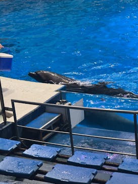 サンシャイン水族館に投稿された画像（2025/11/3）