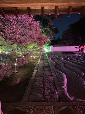 博多ライトアップウォーク実行委員会に投稿された画像（2025/11/3）