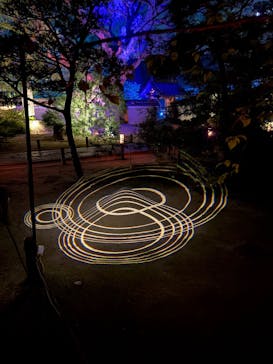 博多ライトアップウォーク実行委員会に投稿された画像（2025/11/3）