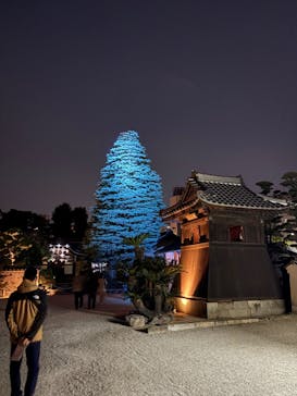 博多ライトアップウォーク実行委員会に投稿された画像（2025/11/3）