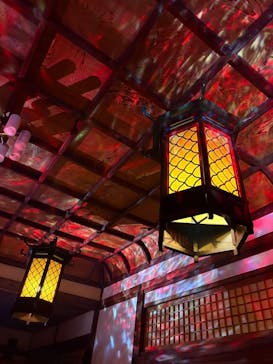 博多ライトアップウォーク実行委員会に投稿された画像（2025/11/3）