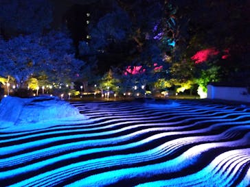 博多ライトアップウォーク実行委員会に投稿された画像（2025/11/3）