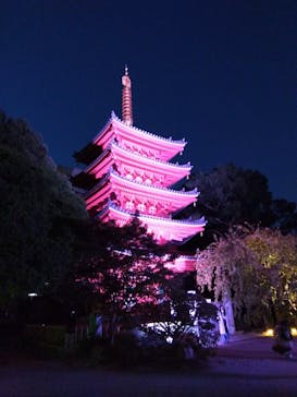 博多ライトアップウォーク実行委員会に投稿された画像（2025/11/3）