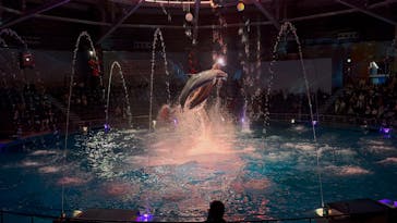 マクセル アクアパーク品川に投稿された画像（2025/11/3）