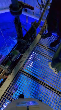 マクセル アクアパーク品川に投稿された画像（2025/11/3）