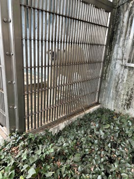 名古屋市東山動植物園に投稿された画像（2025/11/3）