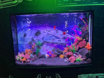 ひらかたパークに投稿された画像（2025/11/3）