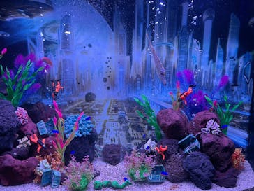 ひらかたパークに投稿された画像（2025/11/3）