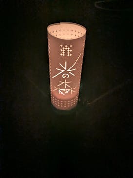 博多ライトアップウォーク実行委員会に投稿された画像（2025/11/3）