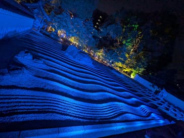 博多ライトアップウォーク実行委員会に投稿された画像（2025/11/3）