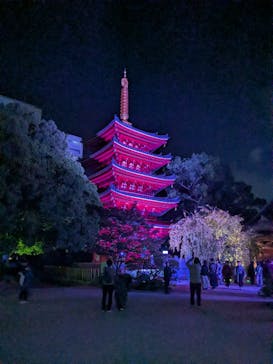 博多ライトアップウォーク実行委員会に投稿された画像（2025/11/3）