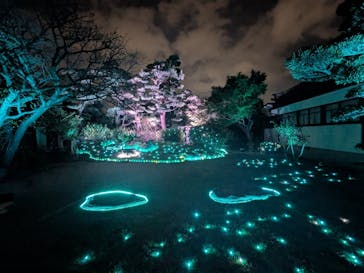 博多ライトアップウォーク実行委員会に投稿された画像（2025/11/3）