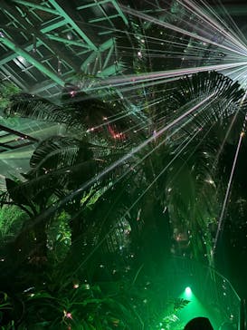 京都府立植物園　LIGHT CYCLES KYOTOに投稿された画像（2025/11/3）