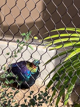 天王寺動物園に投稿された画像（2025/11/3）