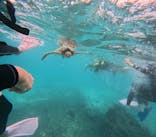 OCEAN LIFE 宮古島に投稿された画像（2025/11/4）