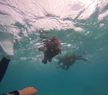 OCEAN LIFE 宮古島に投稿された画像（2025/11/3）