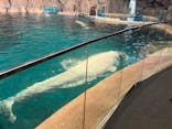 名古屋港水族館に投稿された画像（2025/11/4）
