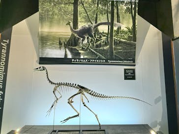 福井県立恐竜博物館に投稿された画像（2025/11/3）