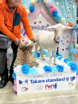 Pet博 大阪会場 Pet Exposition in Osakaに投稿された画像（2025/11/3）