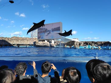 名古屋港水族館に投稿された画像（2025/11/3）