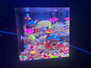 ひらかたパークに投稿された画像（2025/11/3）