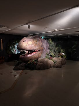 海洋堂ホビーランドに投稿された画像（2025/11/3）