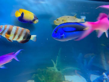 サンシャイン水族館に投稿された画像（2025/11/3）