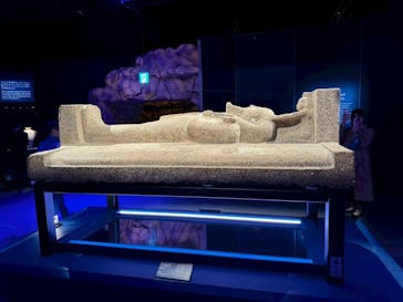 ACN ラムセス大王展 ファラオたちの黄金に投稿された画像（2025/11/3）