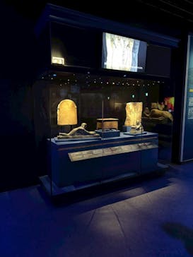 ACN ラムセス大王展 ファラオたちの黄金に投稿された画像（2025/11/3）