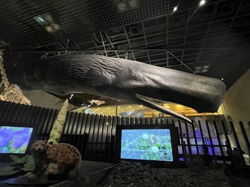 国立科学博物館に投稿された画像（2025/11/3）