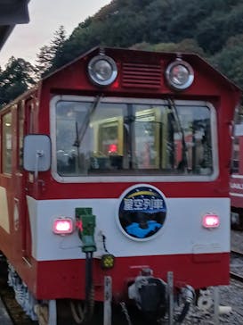 大井川鐵道株式会社に投稿された画像（2025/11/3）