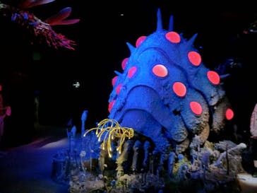 金曜ロードショーとジブリ展（静岡展）に投稿された画像（2025/11/3）