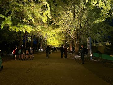 国営昭和記念公園 秋の夜散歩に投稿された画像（2025/11/3）