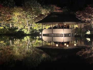 国営昭和記念公園 秋の夜散歩に投稿された画像（2025/11/3）