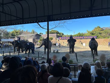 ANIMAL WONDER REZOURT 市原ぞうの国・サユリワールドに投稿された画像（2025/11/3）