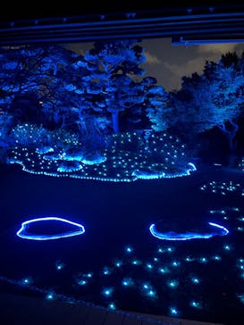 博多ライトアップウォーク実行委員会に投稿された画像（2025/11/3）