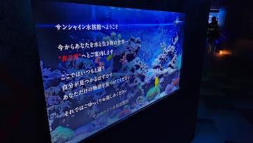 サンシャイン水族館に投稿された画像（2025/11/3）
